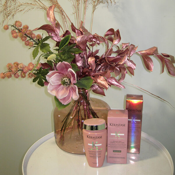 productos Raquel sanect